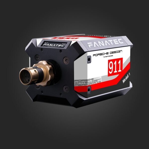 RSR Porsche 2019 Livery